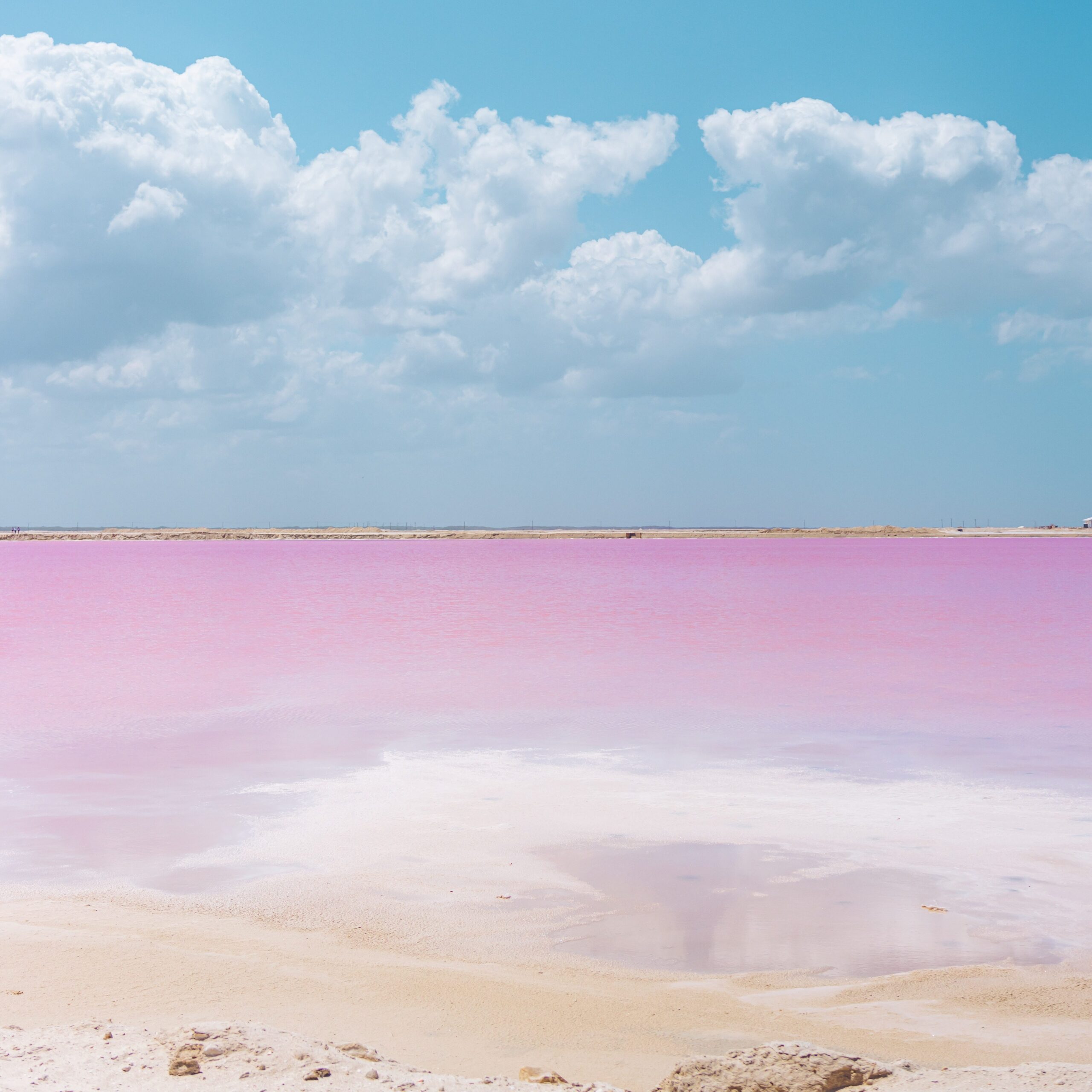Las Coloradas Yucatán Con Hana Tours - Roze meer