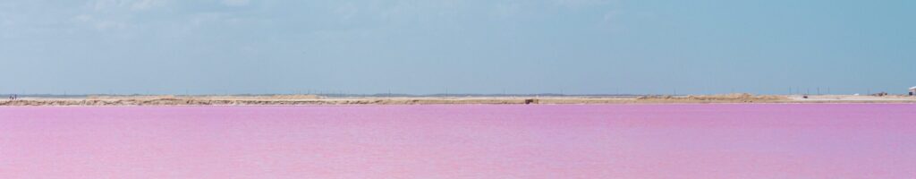 Las Coloradas Yucatán Con Hana Tours - Roze meer